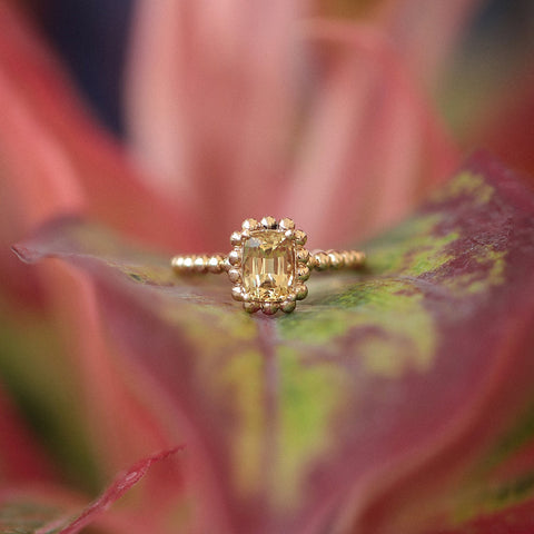 Piedra de Mes Noviembre: Citrino y Topacio Imperial