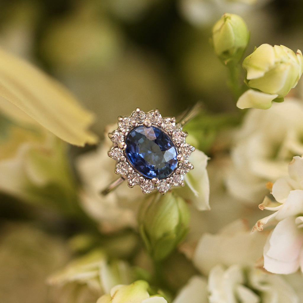 Anillo Imperio Zafiro Azul XL Oro Blanco 14K con Zafiro y Diamantes.